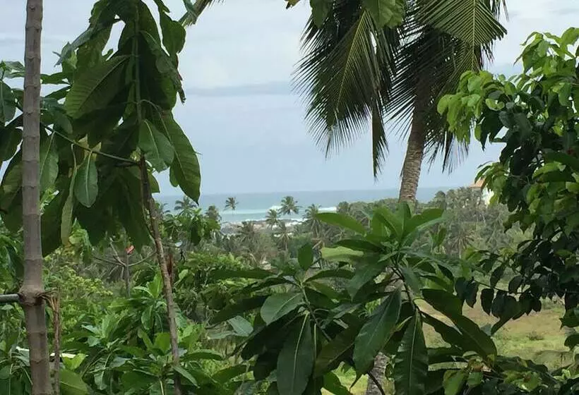 ペンション Lanka Eco Village