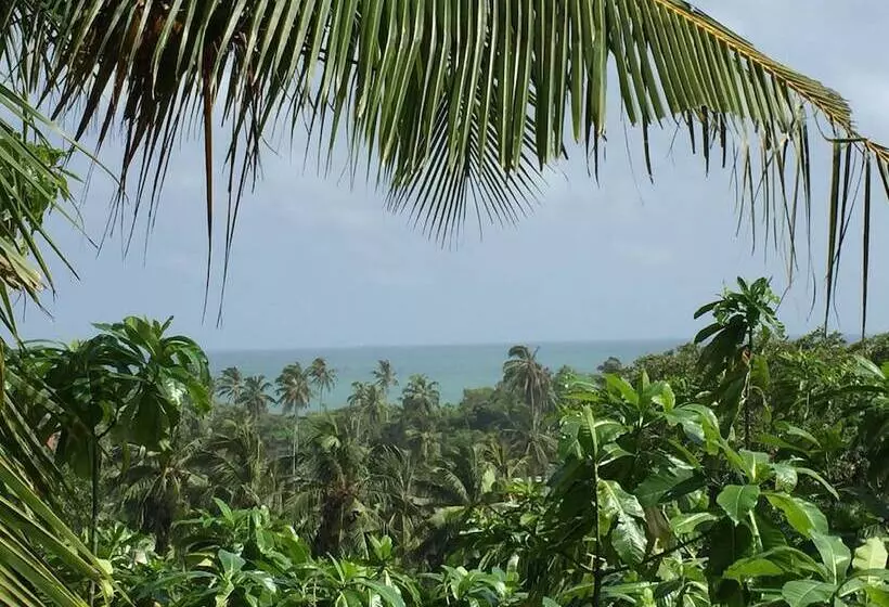 ペンション Lanka Eco Village