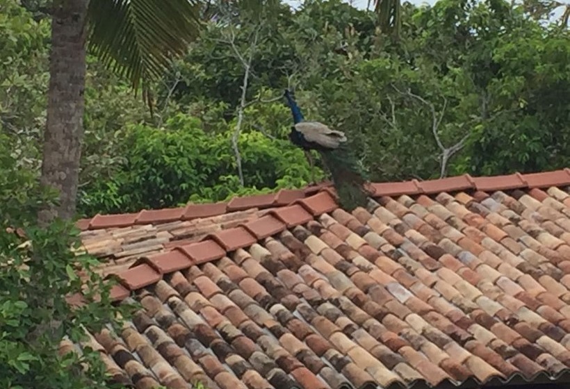 Пансион Lanka Eco Village