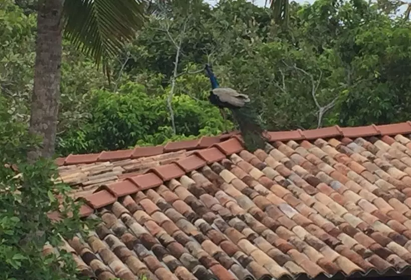 ペンション Lanka Eco Village