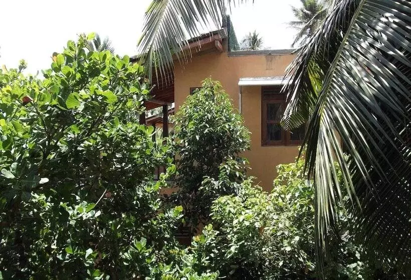 ペンション Lanka Eco Village
