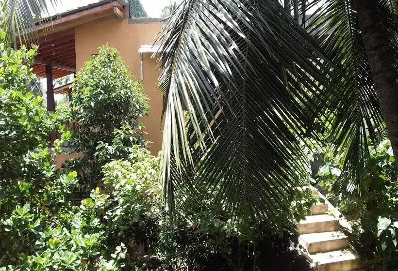 ペンション Lanka Eco Village
