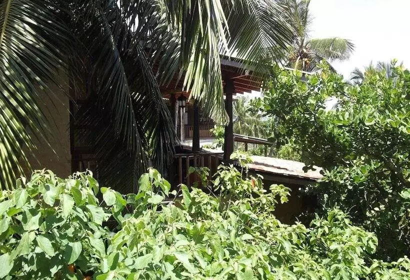 ペンション Lanka Eco Village