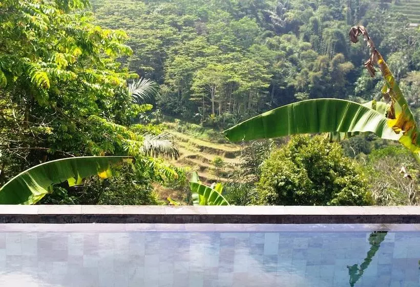 Shangrilah Villas