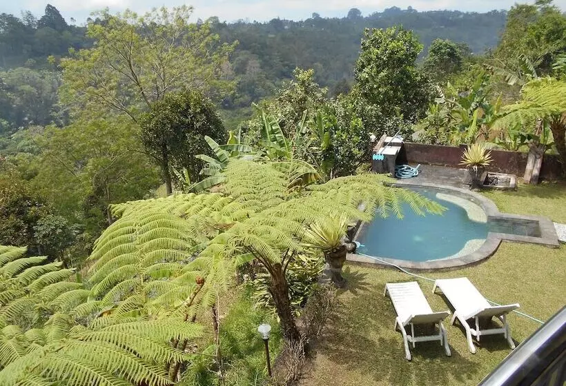 Shangrilah Villas