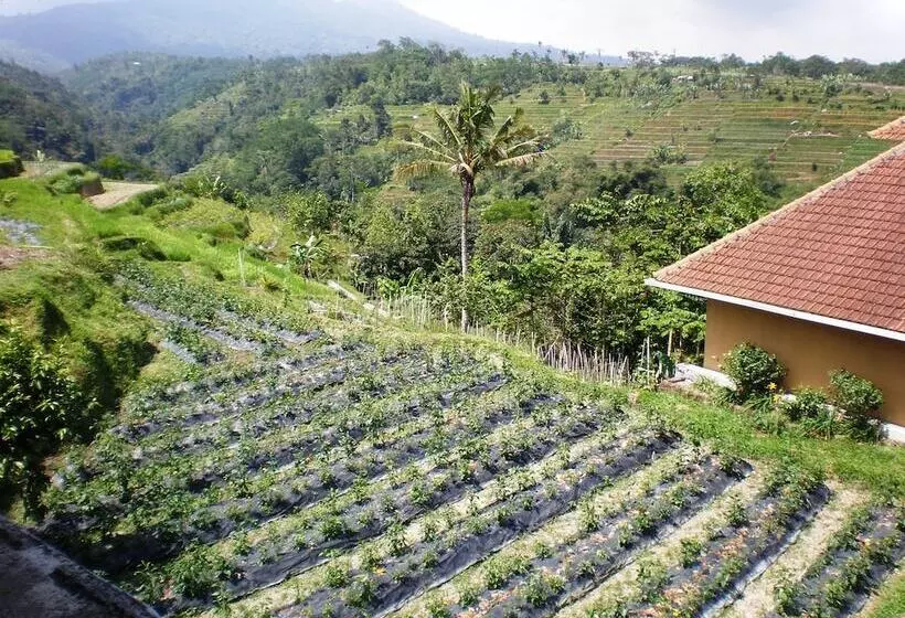 Shangrilah Villas