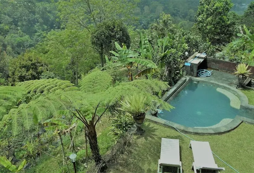 Shangrilah Villas