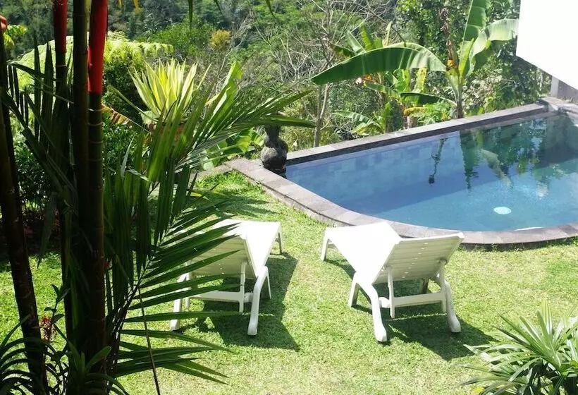 Shangrilah Villas