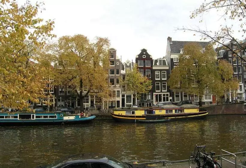 B&b Singel 100