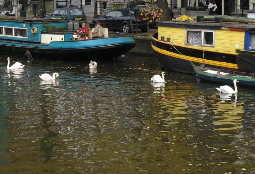 B&b Singel 100