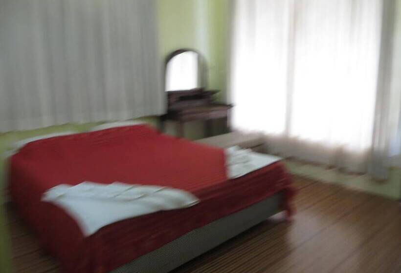 פנסיון Goldie Guesthouse