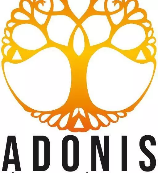 Adonis Dijon Maison Internationale