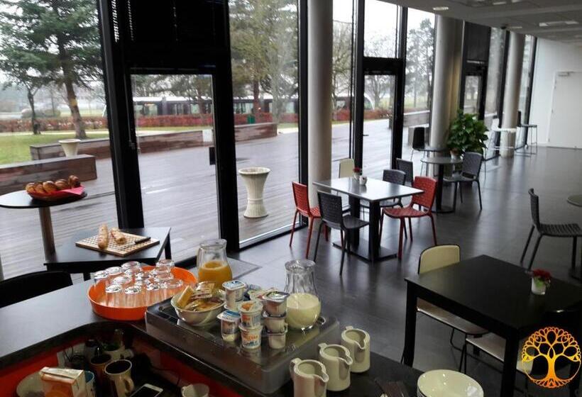 Adonis Dijon Maison Internationale