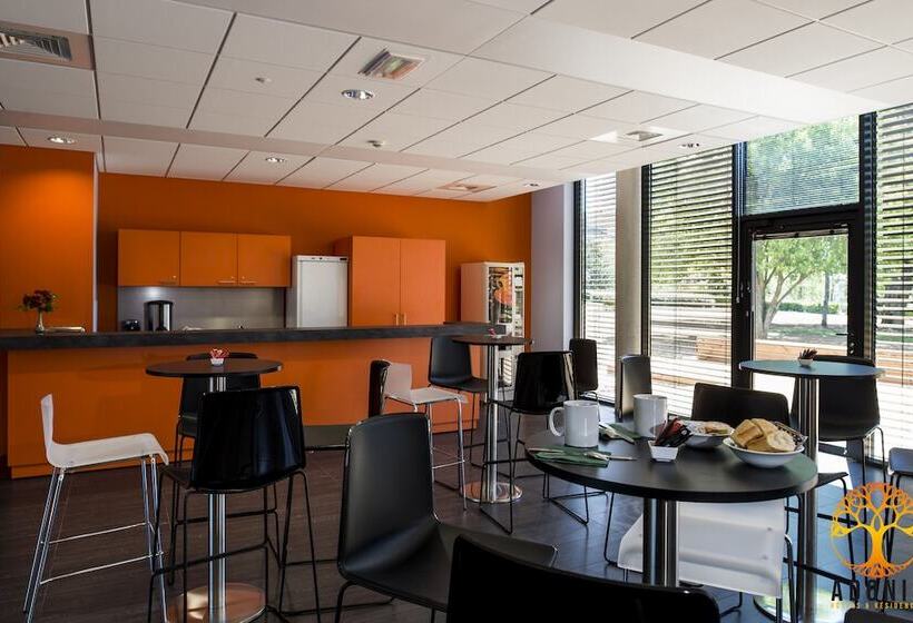 Adonis Dijon Maison Internationale