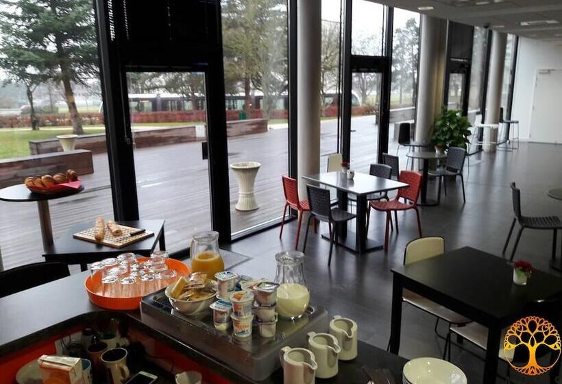 Adonis Dijon Maison Internationale