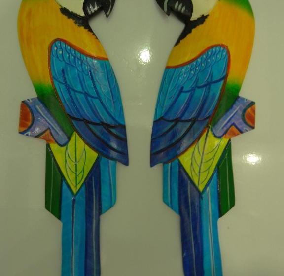 Cumaru Flat Manaus 916