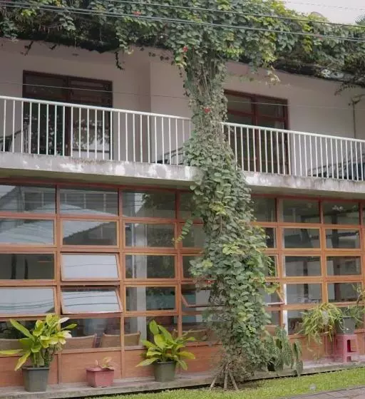 Hotel Augustina Home