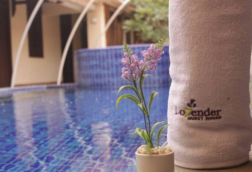 Отель Lovender Guesthouse