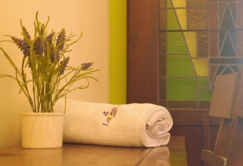 Отель Lovender Guesthouse