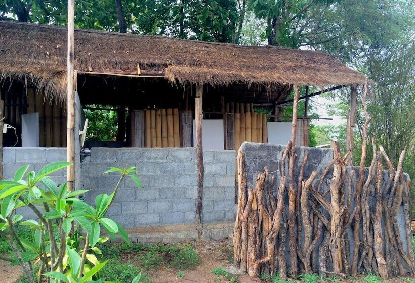 Pansiyon Tony Guesthouse