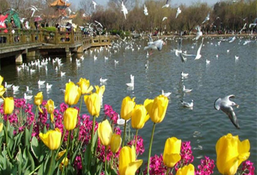 Fairyland Hotel Express Kunming Nanping Pedestrian Street Bai Da Branch