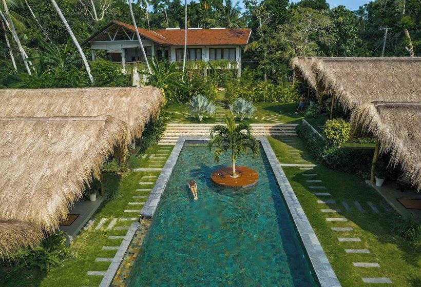 Отель The Jungalows Kima Surf Hiriketiya