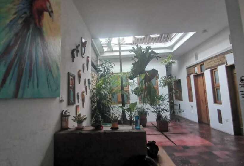 Parrot House San Antonio