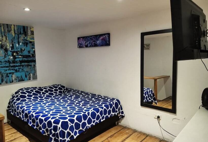 Parrot House San Antonio