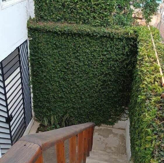 Parrot House San Antonio