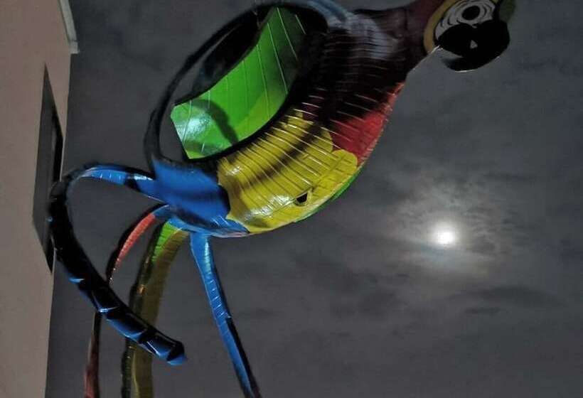 Parrot House San Antonio