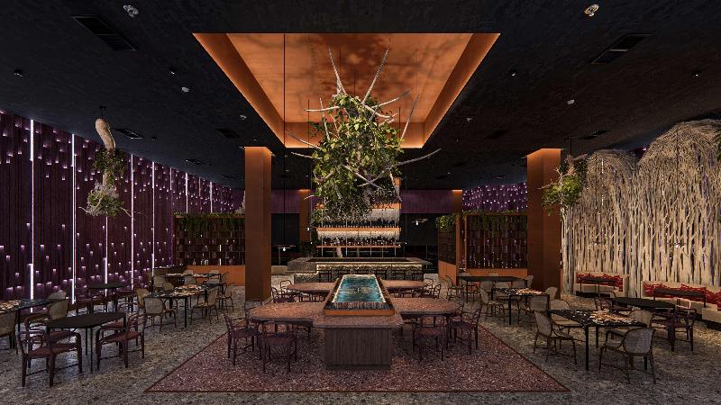 Zemi Miches Punta Cana - All Inclusive Resort, Curio by Hilton