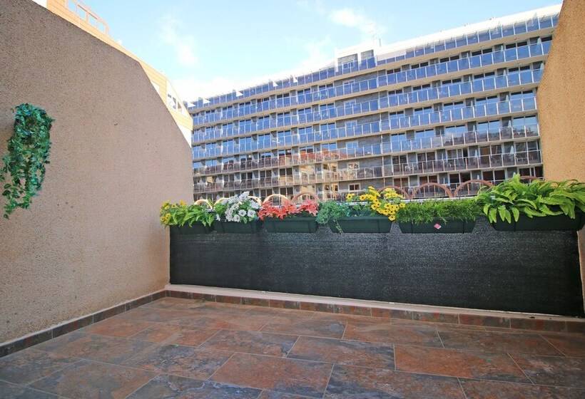 Apartamento Perlamar 3