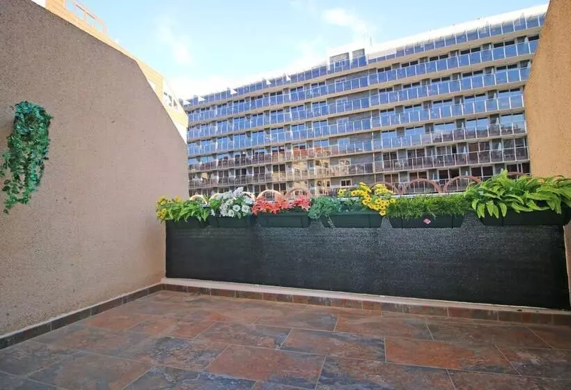 Apartamento Perlamar 3