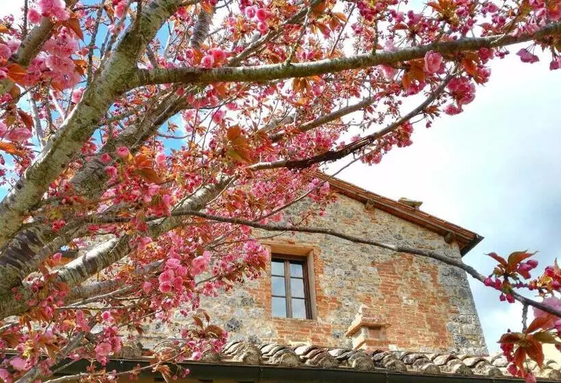 Borgo De Brandi