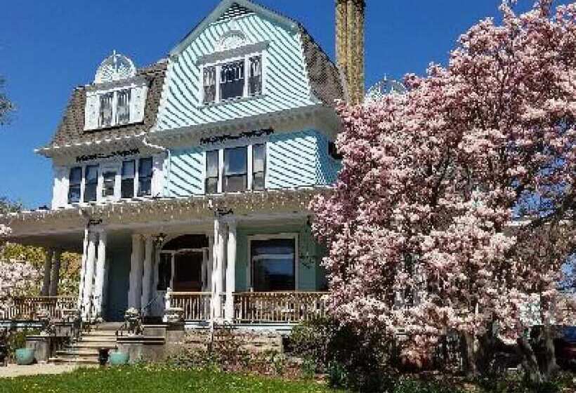 Christmas House Bed And Breakfast