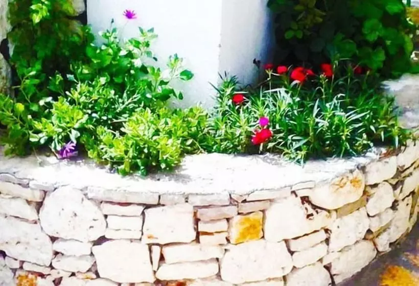 Dionysia Rooms