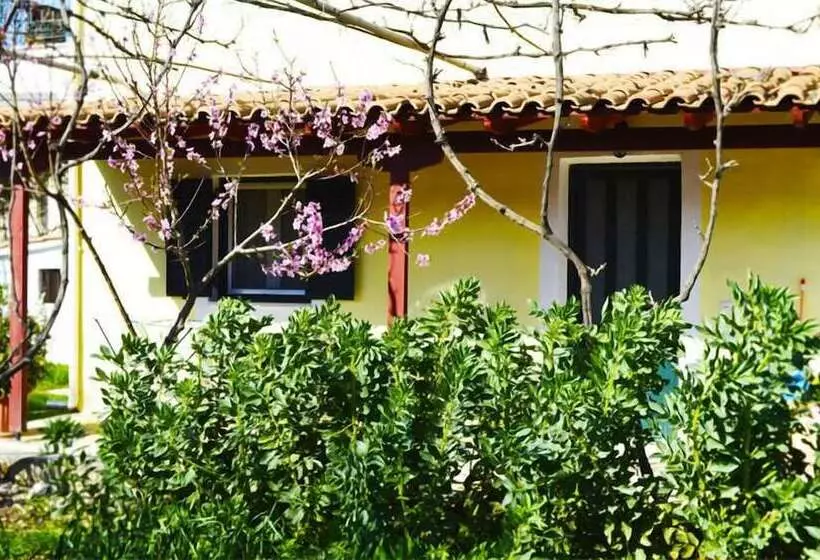 Dionysia Rooms