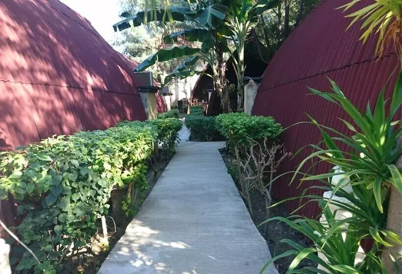 هتل Coral Beach 2 Bungalow