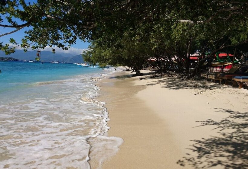 酒店 Coral Beach 2 Bungalow