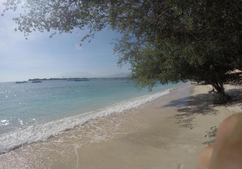 酒店 Coral Beach 2 Bungalow