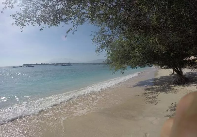 هتل Coral Beach 2 Bungalow