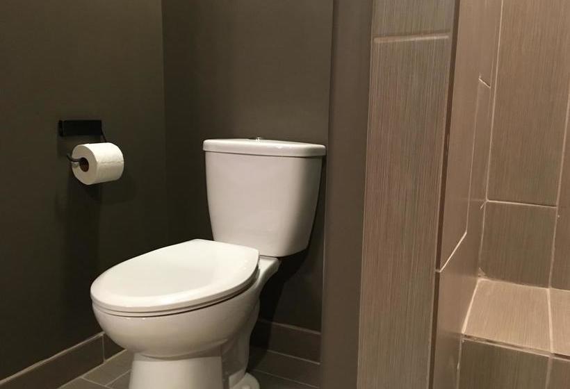 Fotos del hotel Del Sol, Boutique Phoenix Airport:  5