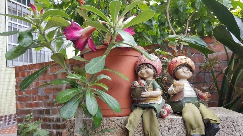 Light Dew Bed And Breakfast