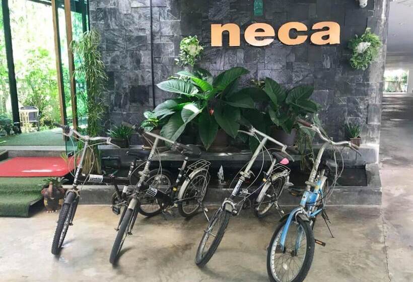 Neca Complex Apartment