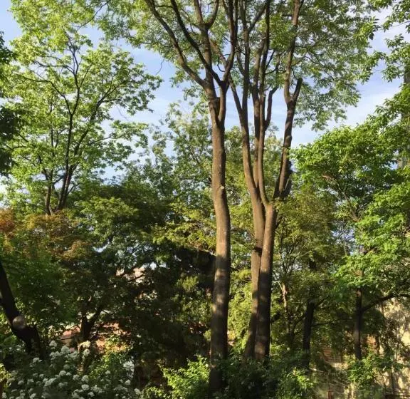 Majatalo Jiwoljang Guest House
