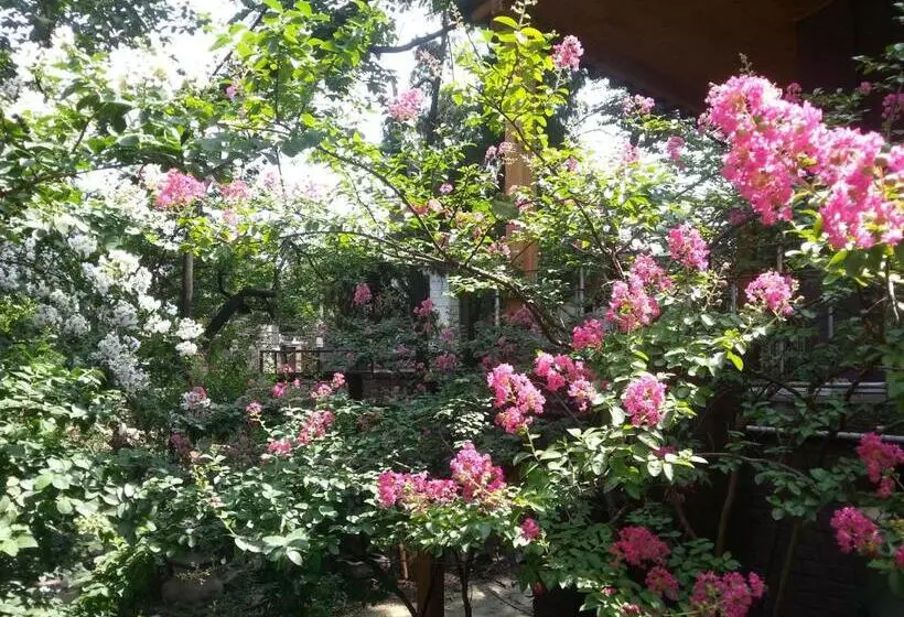 Majatalo Jiwoljang Guest House