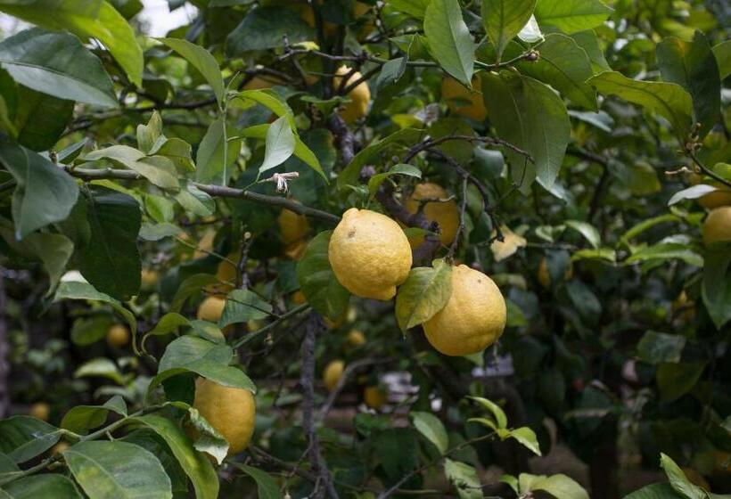 بنسيون Relais Villa Anna