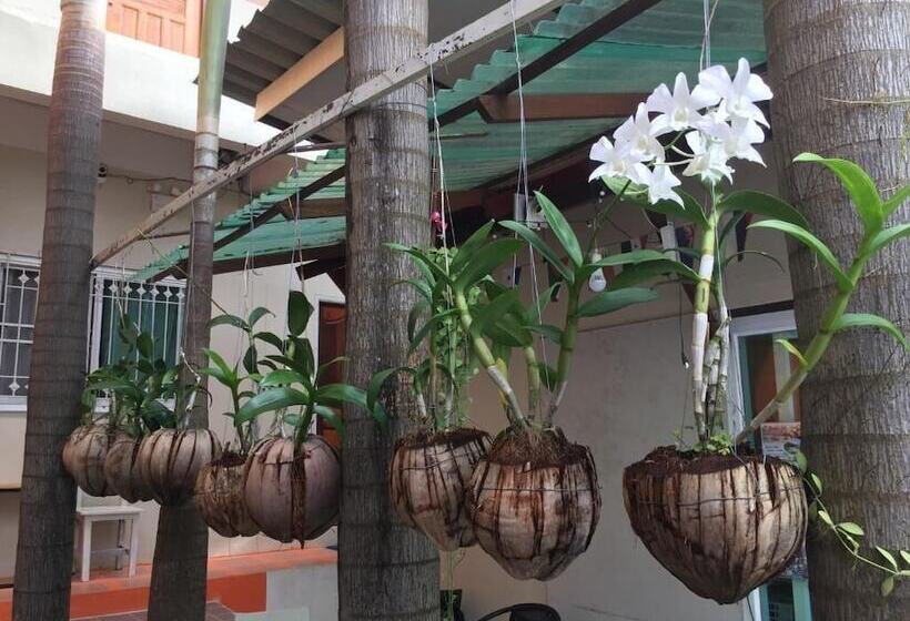 Пансион Sarin Guesthouse