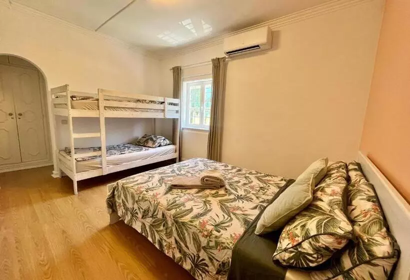 Eco Ljmonade Hostel