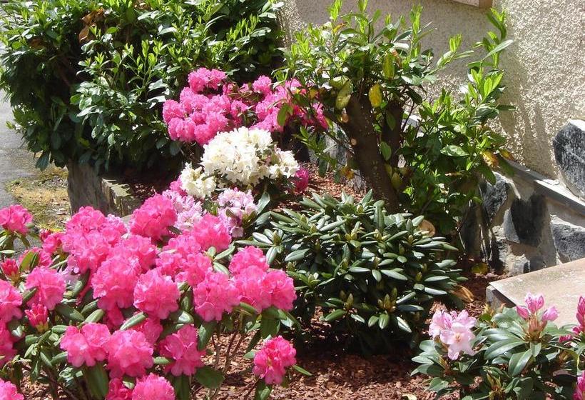 Grand Hotel De Vianden